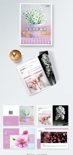 生命的簡約美學(xué) 花卉攝影與苗木種植的藝術(shù)畫冊